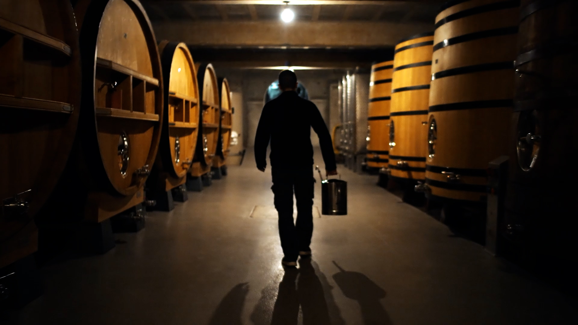 Caveau du Domaine Remizières à Tain l’Hermitage.