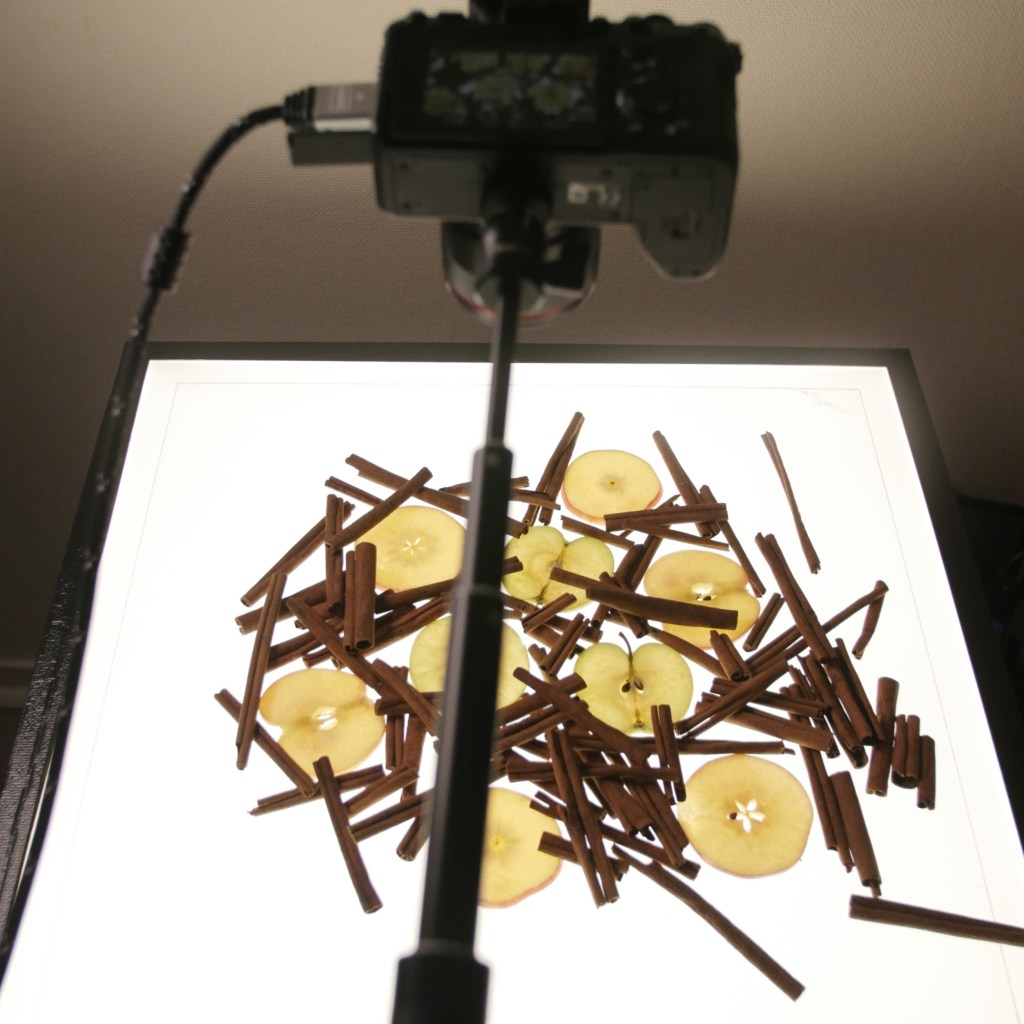 Tournage packshot les freres pirates en studio avec videaste.